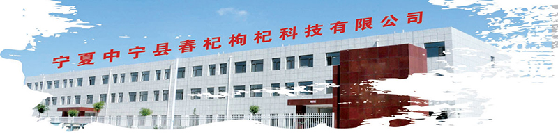 Ningxia Zhongning Chunqi Wolfberry Technology Co., Ltd.
