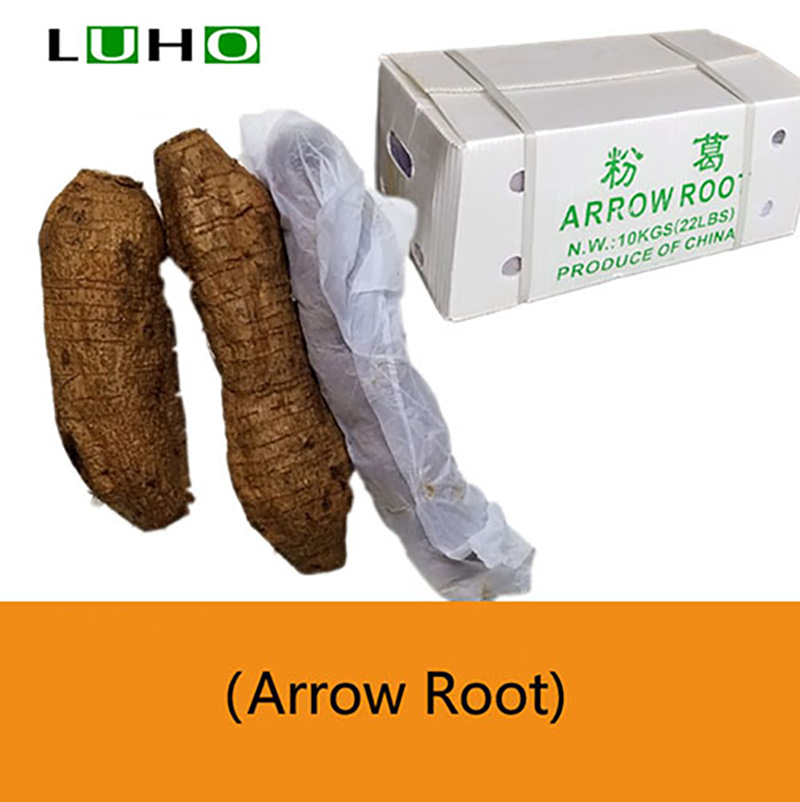  Arrow Root