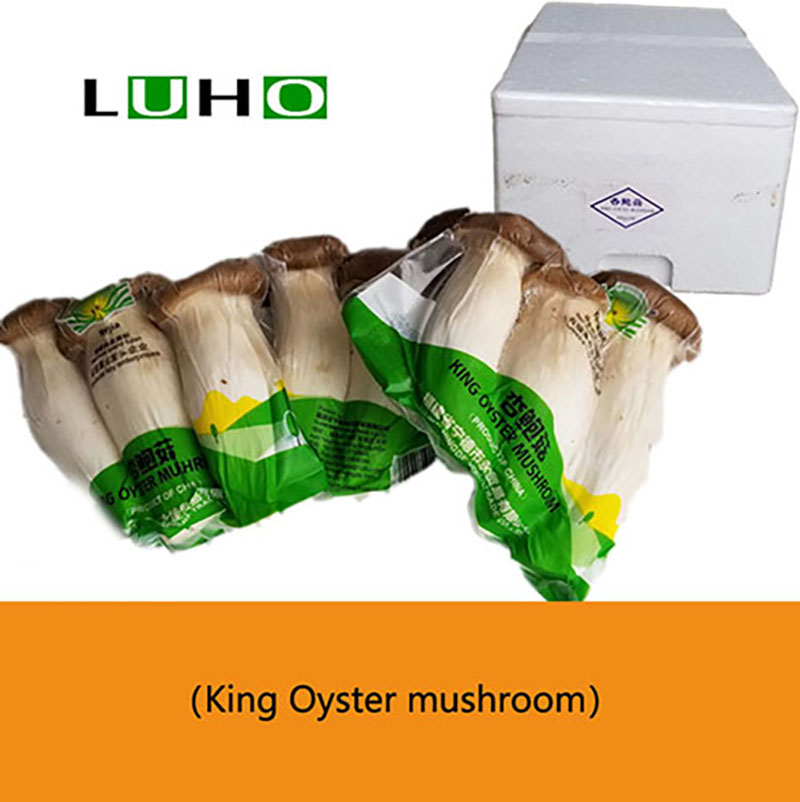  King Oyster Mushroom