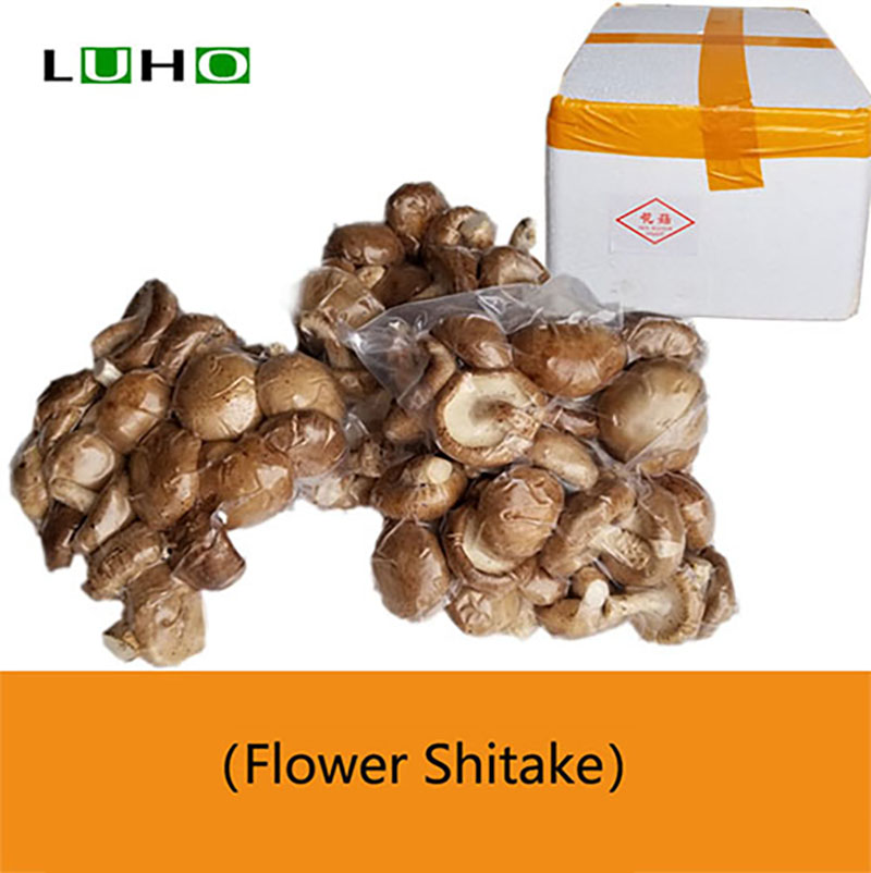 Flower Shitake