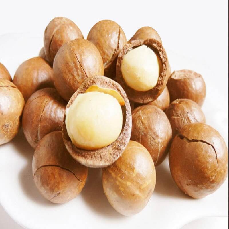 Macadamia nuts, dried fruits, food, nutrition