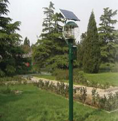 Solar-powered insect control lamp