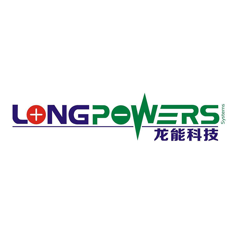 Longneng Technology (Ningxia) Co., Ltd.