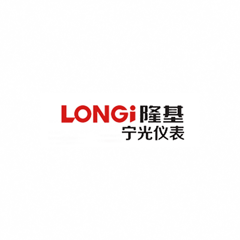 LONGi Meter Co., Ltd.