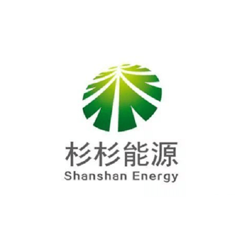 Shanshan Energy (Ningxia) Co., Ltd.