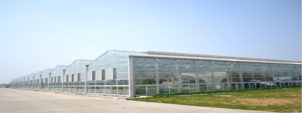 Ningxia University of science and technology photovoltaic, Agricultural Research Institute, photovoltaic intelligent greenhouse