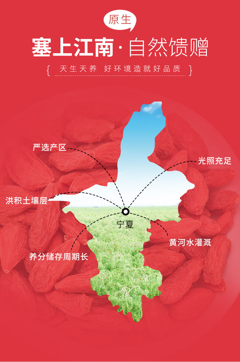 Ningxia wolfberry, first stubble wolfberry, Zhongning red wolfberry, large fruit granules, dried wolfberry fruit