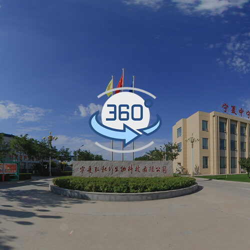 Ningxia Zhongning Goji Industry Development Co., Ltd.